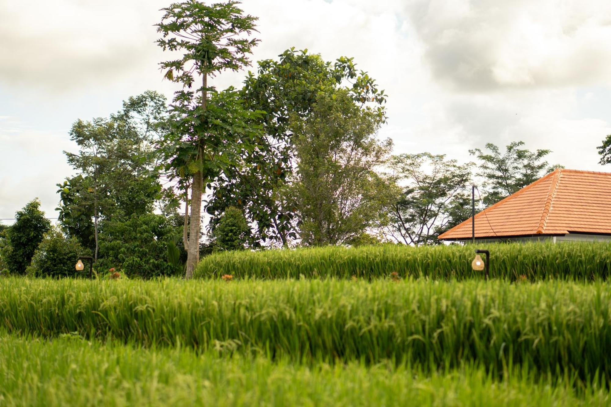 The Ume Sidemen Villas Luaran gambar